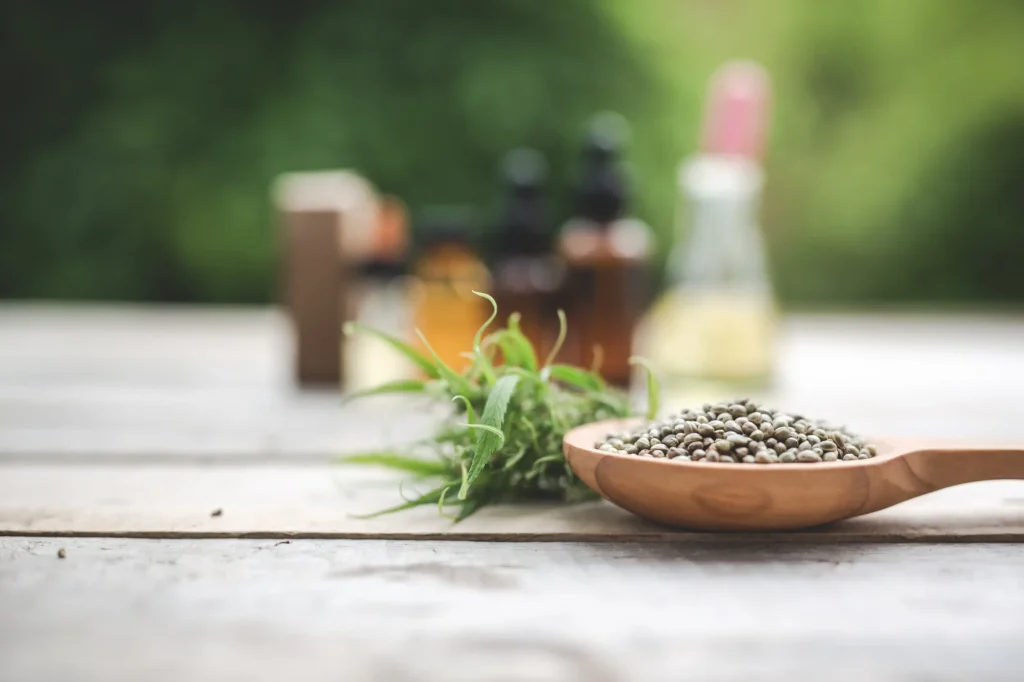 graines de cbd à Périgueux chez cbd zen bio