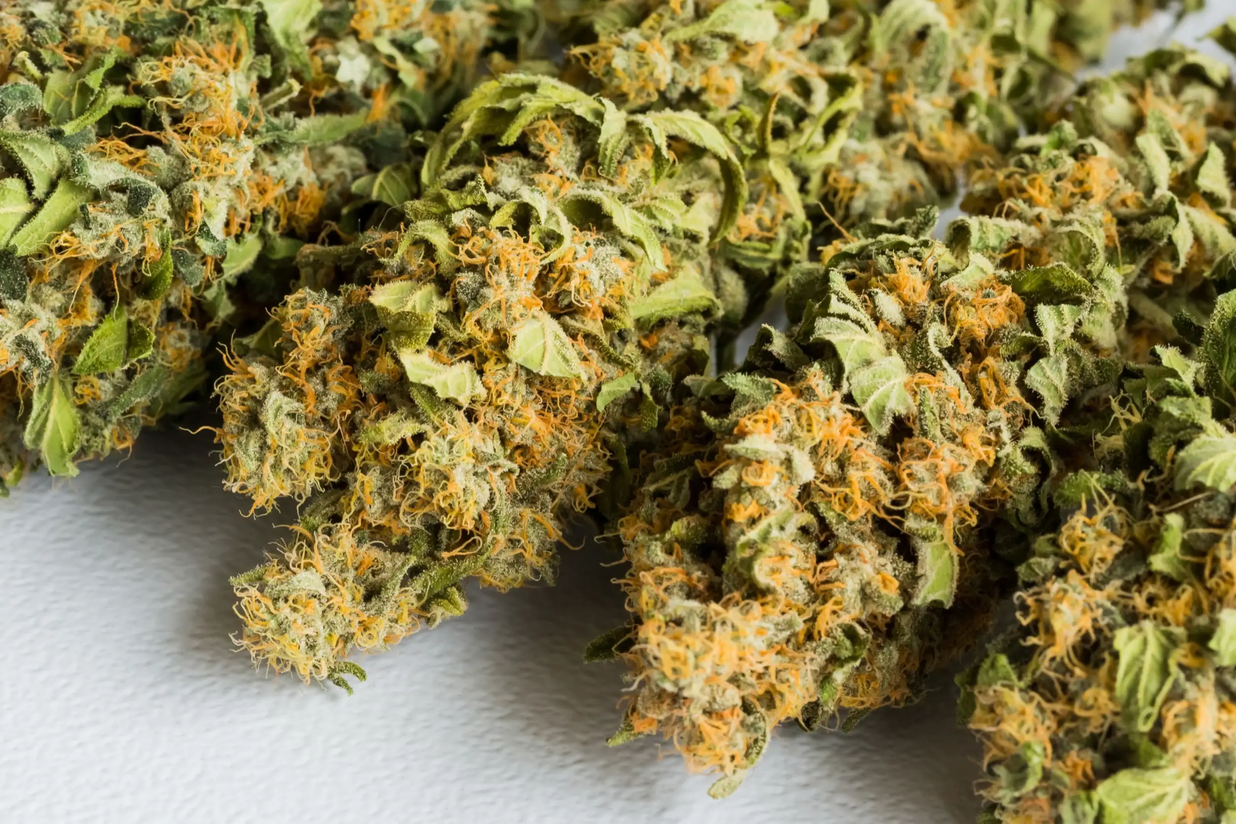 belle fleur de cbd à Périgueux chez cbd zen bio