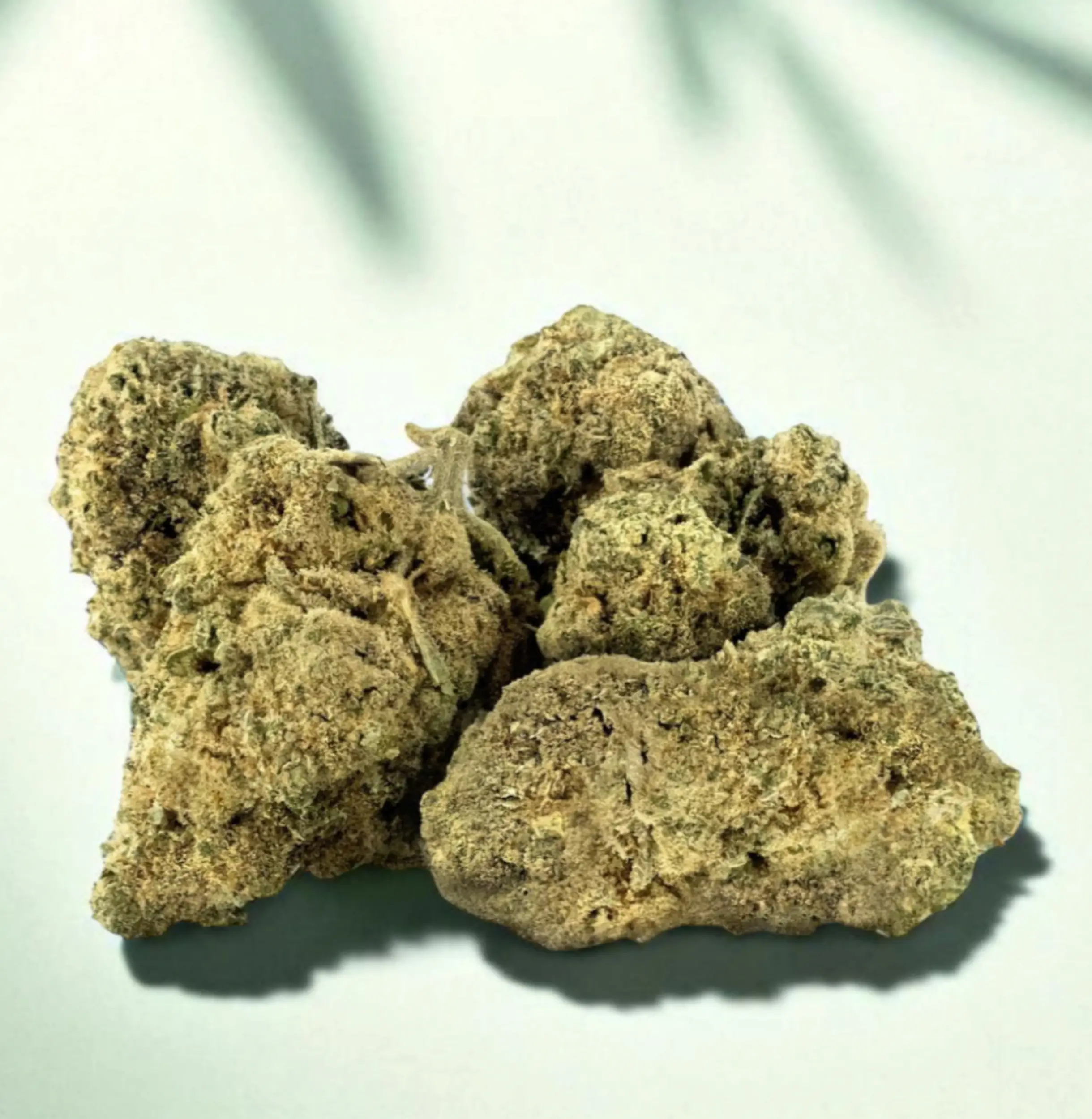 image de cbd